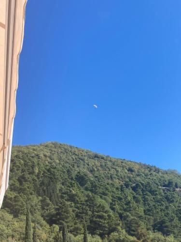 Studio Apartment For Rent In Budva Exterior photo